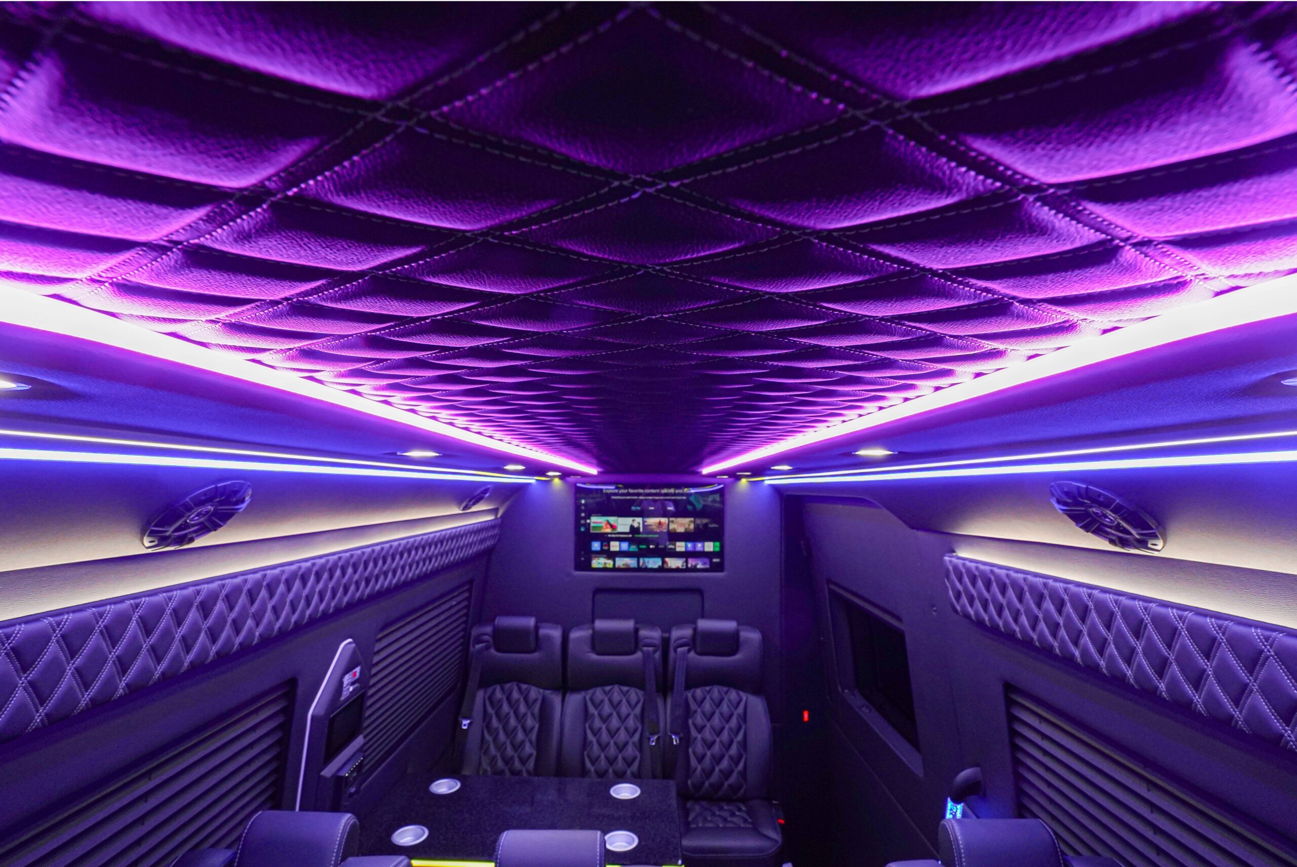 Compressed CSC09657 copy